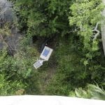 Everglades NP Marker with Alligator 4 Everglades NP Marker with Alligator 4