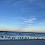 Beach at Mayport NAS 4 Beach at Mayport NAS 4