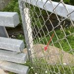 Location 41 001 A Sparta, WI Location 41 001 A Sparta, WI