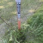 Witness Post Sparta, WI MNF Jun 2020 Witness Post Sparta, WI MNF Jun 2020