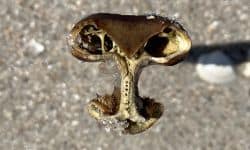 Swordfish 2 Swordfish 2