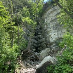 Trout Run Trail Bluff Trout Run Trail Bluff