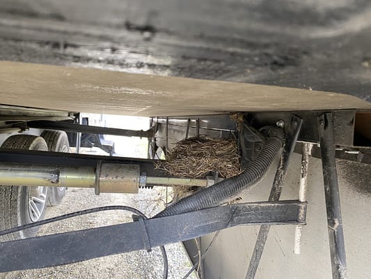 Birds Nest Under Slide Out