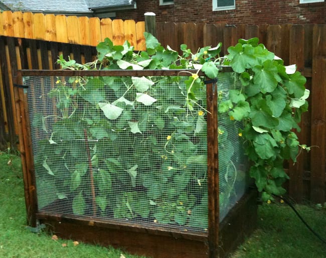 raised bed gardening in VA