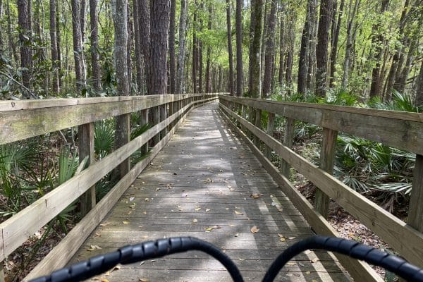 Boardwalk at Camp Milton Preserve